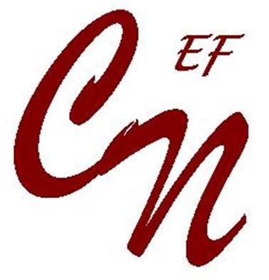 NoticiasdaEF's profile picture. Notícias da Educação Física e empregos/estágios em escolas, clubes e academias.