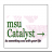 msuCatalyst