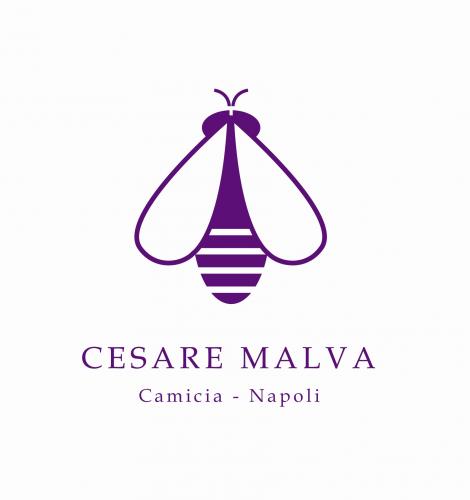 CesareMalva's profile picture. http://t.co/wwbc3a8VGI est une boutique de chemises classiques pour homme en ligne