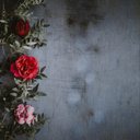 Aria Bell - @AriaBell15 - Twitter