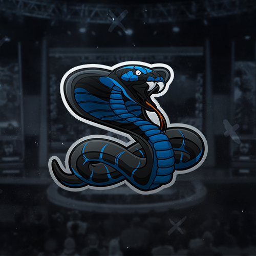 Professional Swiss Multigaming eSports Organization | since 2019| #StaySpiritual 🐍