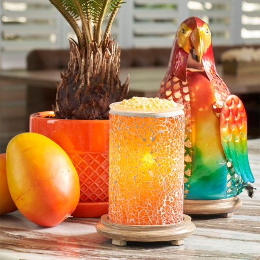 aklanier's profile picture. Pink Zebra Independent Consultant who loves history, romance, reading, cooking, recipes, writing, my grandkids.