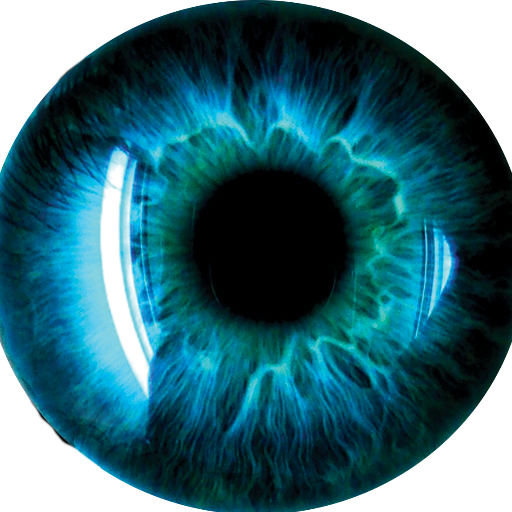 Occam's Razor is a terrifying speculative thriller painting a real scientific vision of nothing less than an imminent apocalyptic event. Is it real?
