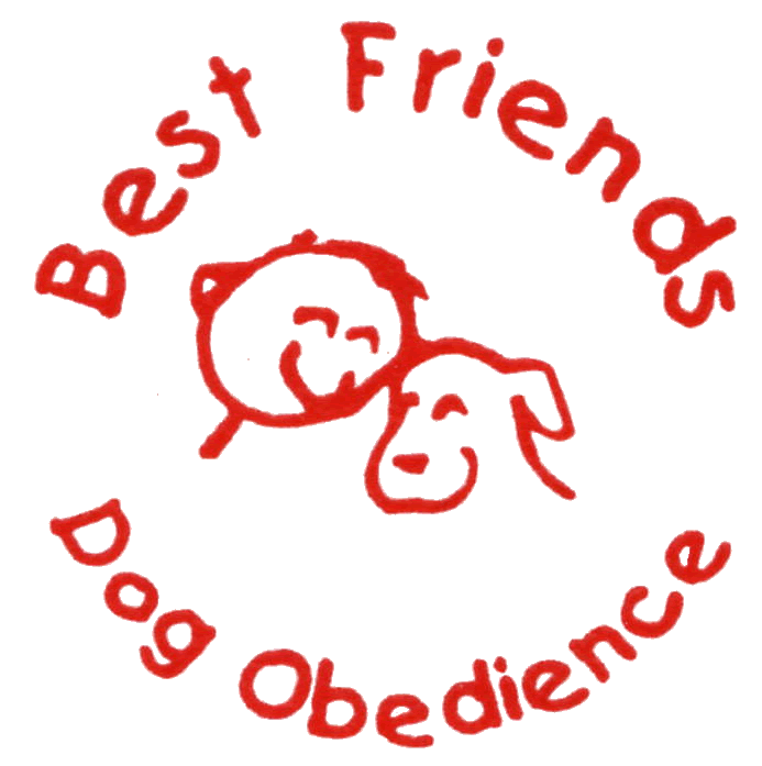 Dog trainer to the common man (and woman, and child)