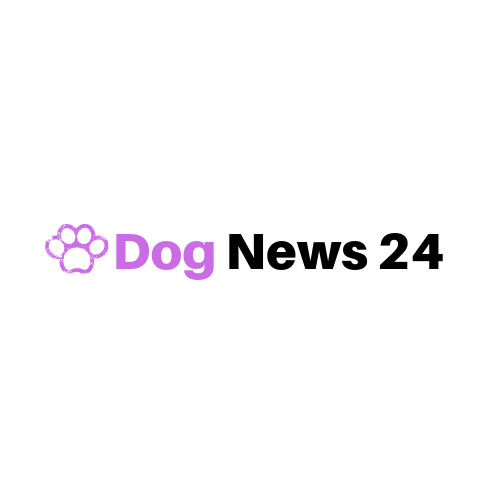 Learn all you wanted to know about Dogs
her health, food, training, pet and more from dog news 24.