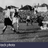 YEOVILGOONER1's profile image
