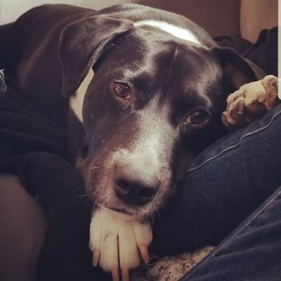 LinzStrong's profile picture. 