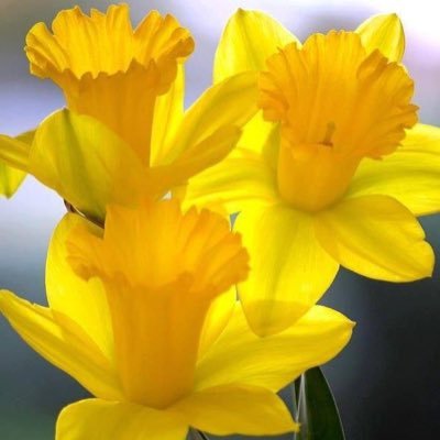 1CrazyCatLady2's profile picture. Ask the right questions to get better actionable solutions. The right questions are the ones you’re hesitating to ask because they hide an uncomfortable truth.