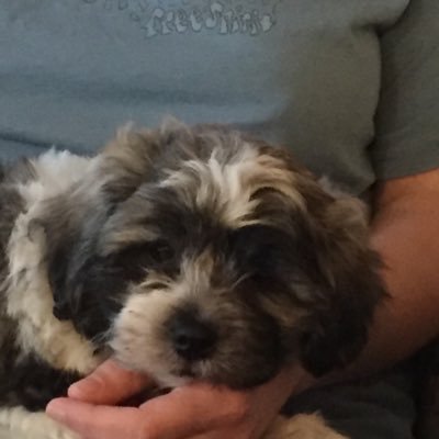 pinsley2's profile picture. 