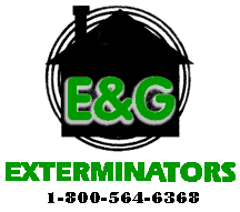 EGExterminators's profile picture. E&G Exterminators, Inc has been protecting your business, your home and your family from unwanted pests for over 30 years.