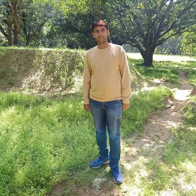 yeamit's profile picture. 