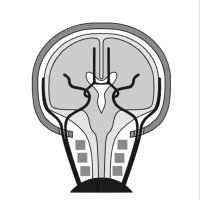 ANZSNR (@anzsnr) 's Twitter Profile Photo ANZSNR (@anzsnr) 's Twitter Profile Photo