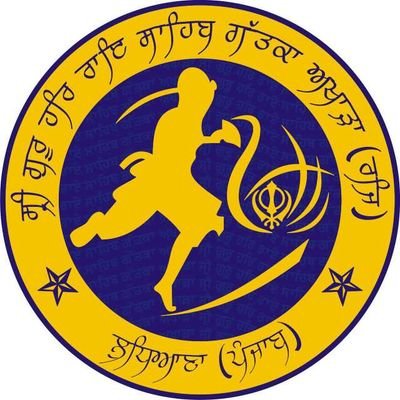 Gatka, Gatka Training