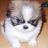 FernandoGpp's profile image