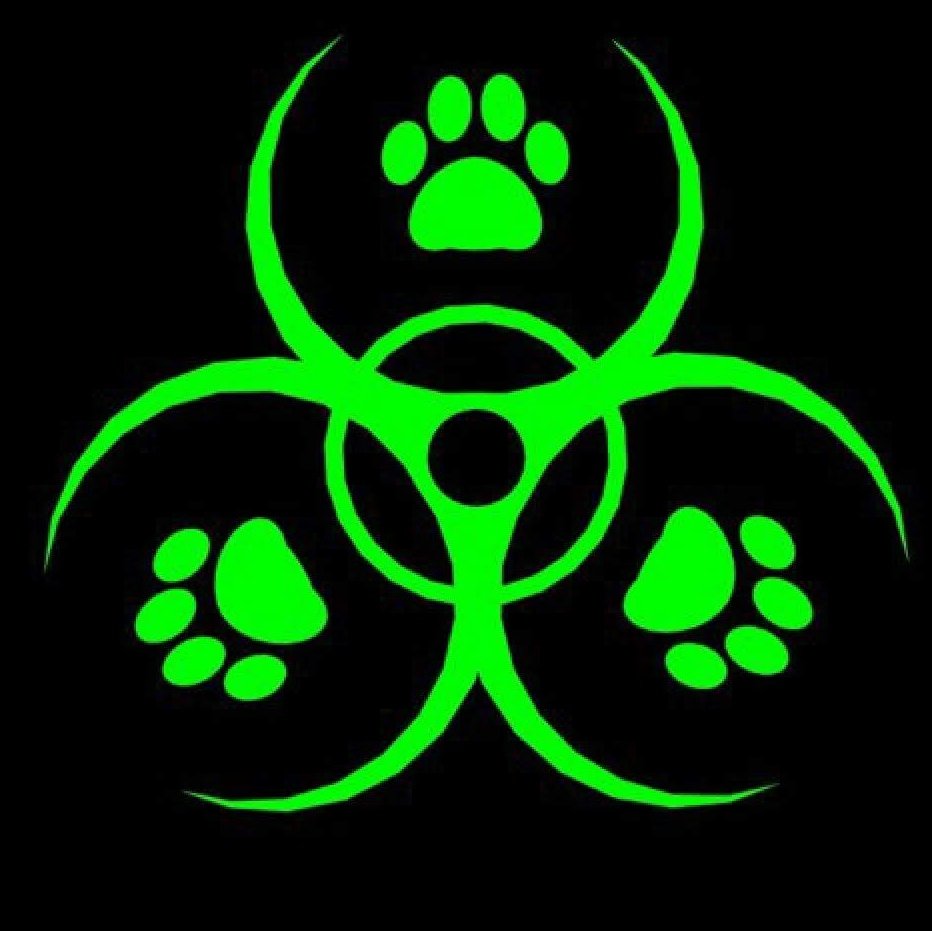 vadok365's profile picture.