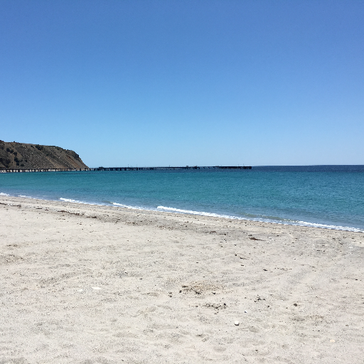 drshabs_shabna's profile picture. Gen Paediatrician in Reg Aus interested in allergy, resp & health education. Dep Director Med Student Ed. Tweets my own. Retweets are not endorsements.