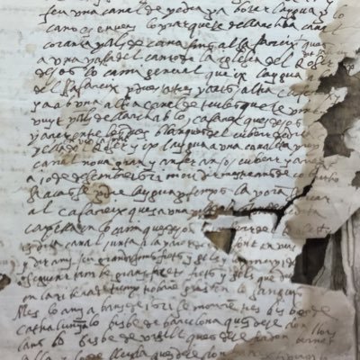 Sisco Amorós Profile