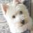 ReubenScott's profile image