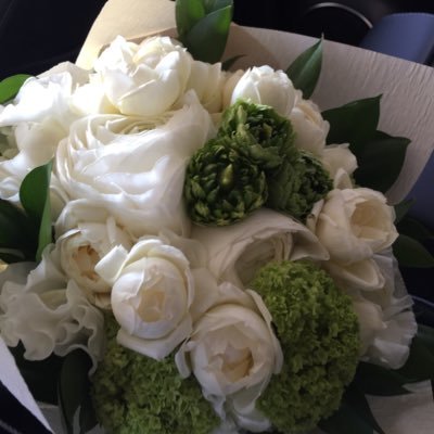 nasu__chi's profile picture. ただ宝塚を楽しんでるだけのアカウント。朝美さん❄️真彩希帆ちゃん！