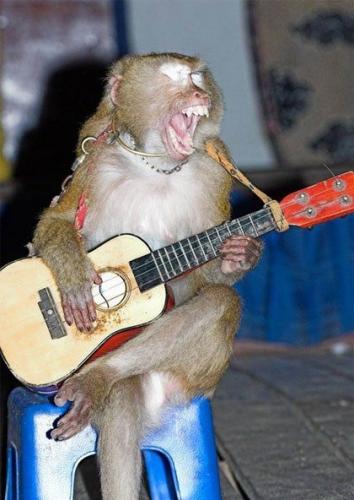 dereleaked's profile picture. 