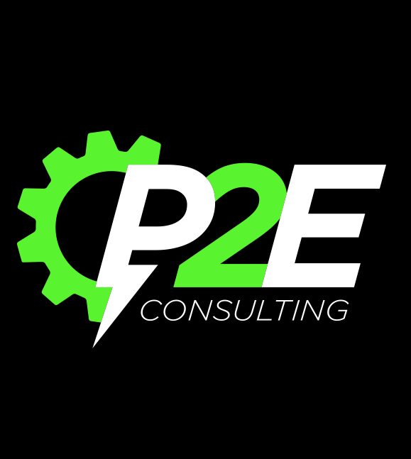 P2E Consulting Profile
