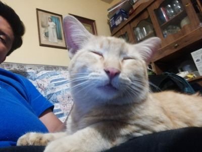 CondeValdez's profile picture. Soy Danval