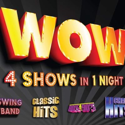 WOW are Irelands most in demand party band! Fully costumed show. Classic Hits into 80s into 90s then Chart Hits. #4showsin1night