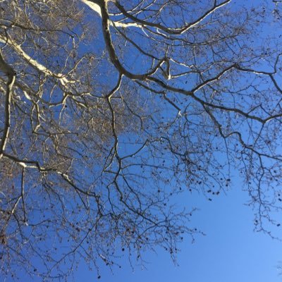 Armi07637596's profile picture. EMPTY NOSE SYNDROME VICTIM BECAUSE OF SURGEON FROM ARMENIА