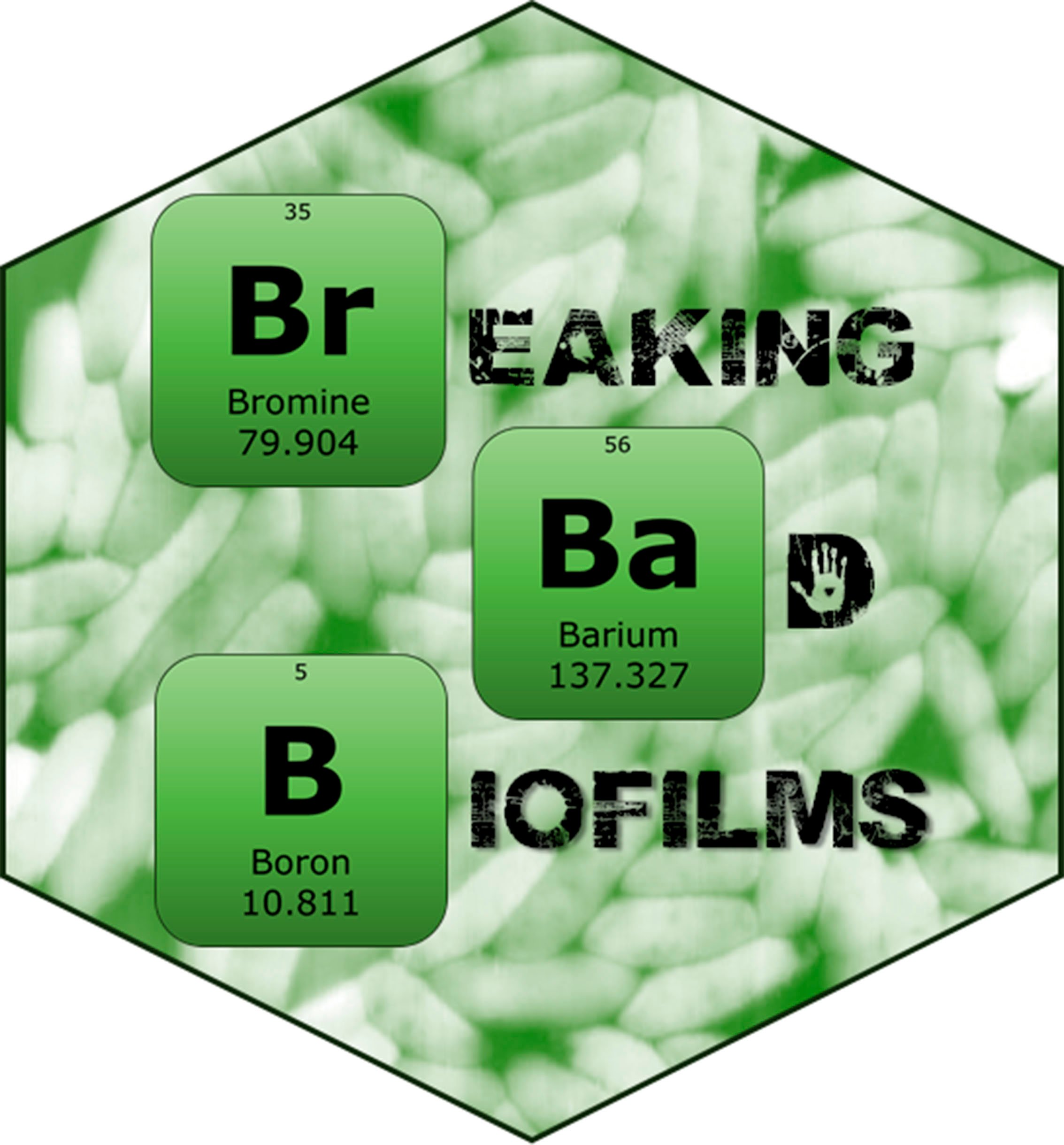 @MSCAactions (funded by @EU_H2020) aimed to deal with biofilms from a multidisciplinary perspective.
Any related tweets reflect only the views of the pr. owner