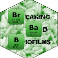 BREAKBIOFILMS_ITN (@breakbiofilms) 's Twitter Profile Photo BREAKBIOFILMS_ITN (@breakbiofilms) 's Twitter Profile Photo