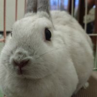 ツキ (@461u3gi3) 's Twitter Profile