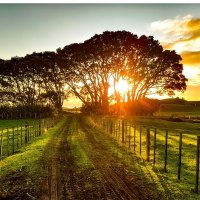 Akh (@ali0103ali) 's Twitter Profile Photo