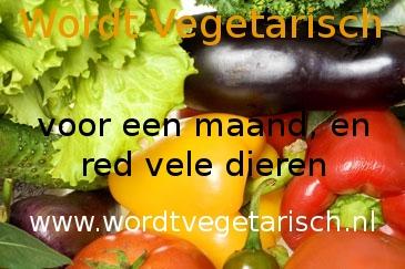 Wordt Vegetarisch wil ervoor zorgen dat zoveel mogelijk mensen 1 hele maand vegetarisch eten, en zo het leven van vele dieren redden.