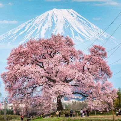 eriroque2's profile picture. 