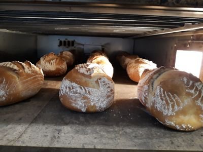 MicropanificioM's profile picture. Micropanificio Mollica è un piccolo laboratorio di panificazione dove in 20 mq nasce il Pane realizzato con pasta madre viva