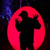 しゅりんぷ小林 (@shrimp_koba) Twitter profile photo