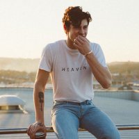 shawn//23.03.19💙 (@_mrsmendes__) 's Twitter Profile