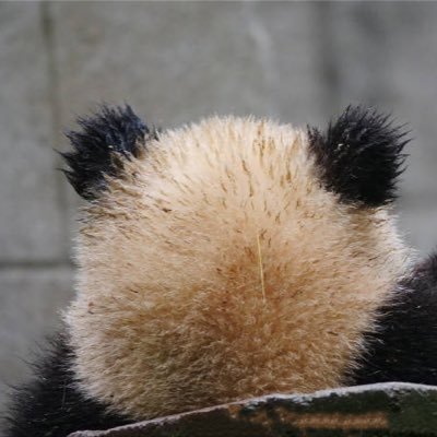 JacobHWLee's profile picture. 