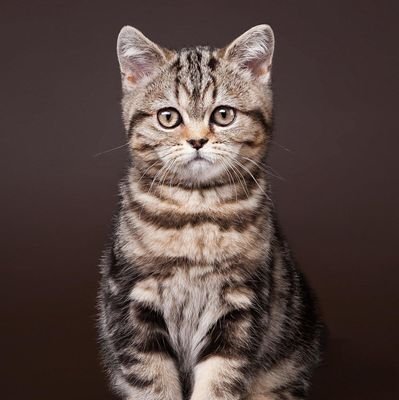 Z7khpxFccdDpbju's profile picture. 