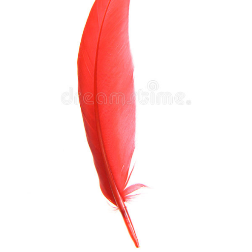 jcjaime9's profile picture. fiel a mis ideales.!