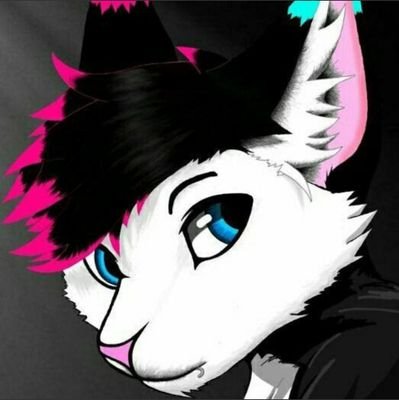 JimblesTheCat Profile