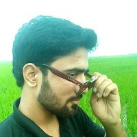 Syed Ali Hassan Shah (@syedali11284287) 's Twitter Profile