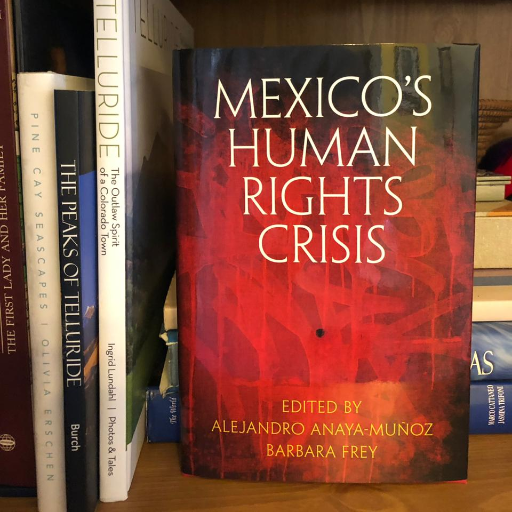 Politólogo-internacionalista, interesado en los derechos humanos. Profesor-investigador y Vicerrector Académico de la Ibero  Ciudad de México