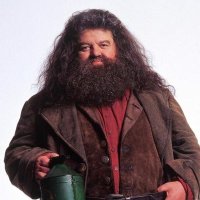 HAGRID-CRYPTO (@cryptohagrid) 's Twitter Profile