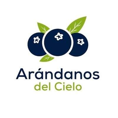 vender arandanos