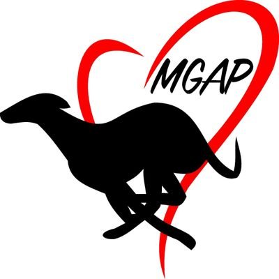 MGAP is a foster based adoption group based in Moncton, NS. We place Greyhounds and sighthounds into loving homes across the Maritimes. https://t.co/oHnrSkCYyS