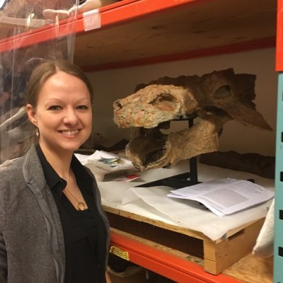 Vertebrate Palaeontologist & Collections Manager at OUMNH/@morethanadodo. Research areas: Mesozoic reptiles & sharks. Chair @OriginalGCG. Anti-racism. She/Her