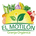 Granja El Motilón (@granjamotilon) Twitter profile photo Granja El Motilón (@granjamotilon) Twitter profile photo