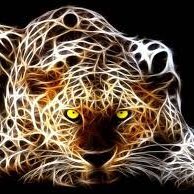 Islam08589258's profile picture. Listening