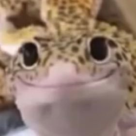 ahdHhhhhhj's profile picture. 18 - tired of everything